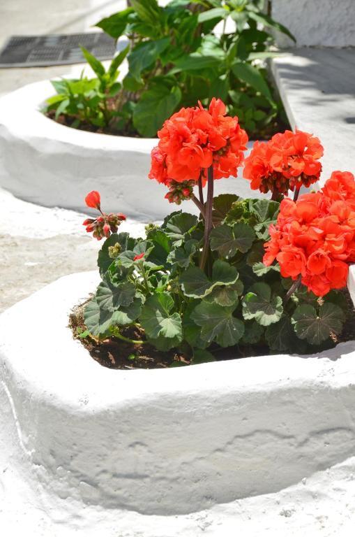 Blue Sky Aparthotel Naxos City Ruang foto